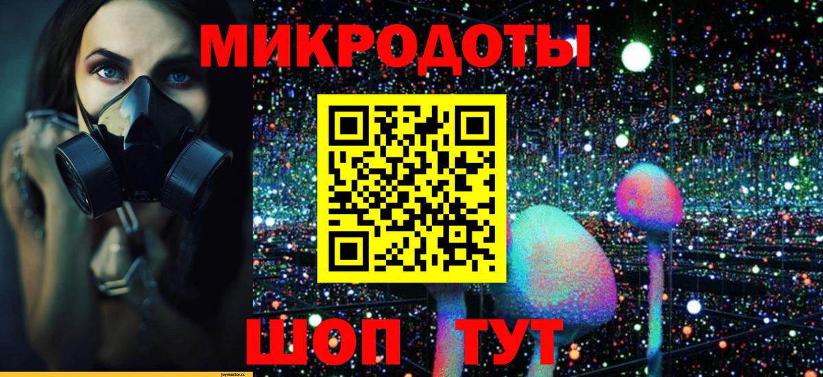 Галлюциногенные грибы Cubensis Вязьма