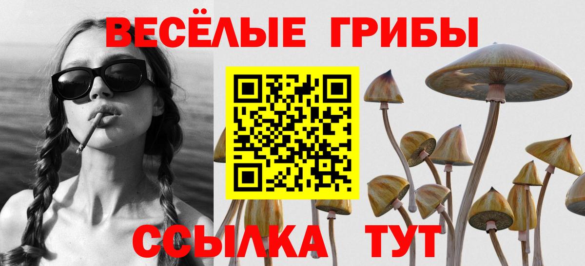 Вязьма  Галлюциногенные грибы GOLDEN TEACHER  Псилоцибиновые грибы Cubensis  купить  сайты  Вход с VPN 